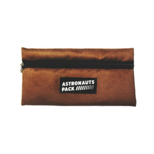 Astronauts Alcantara Braun
