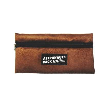 Astronauts Alcantara Braun